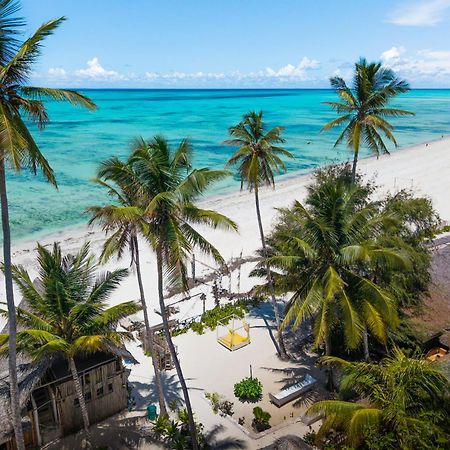 Pili Pili Palm Beach Jambiani  Buitenkant foto