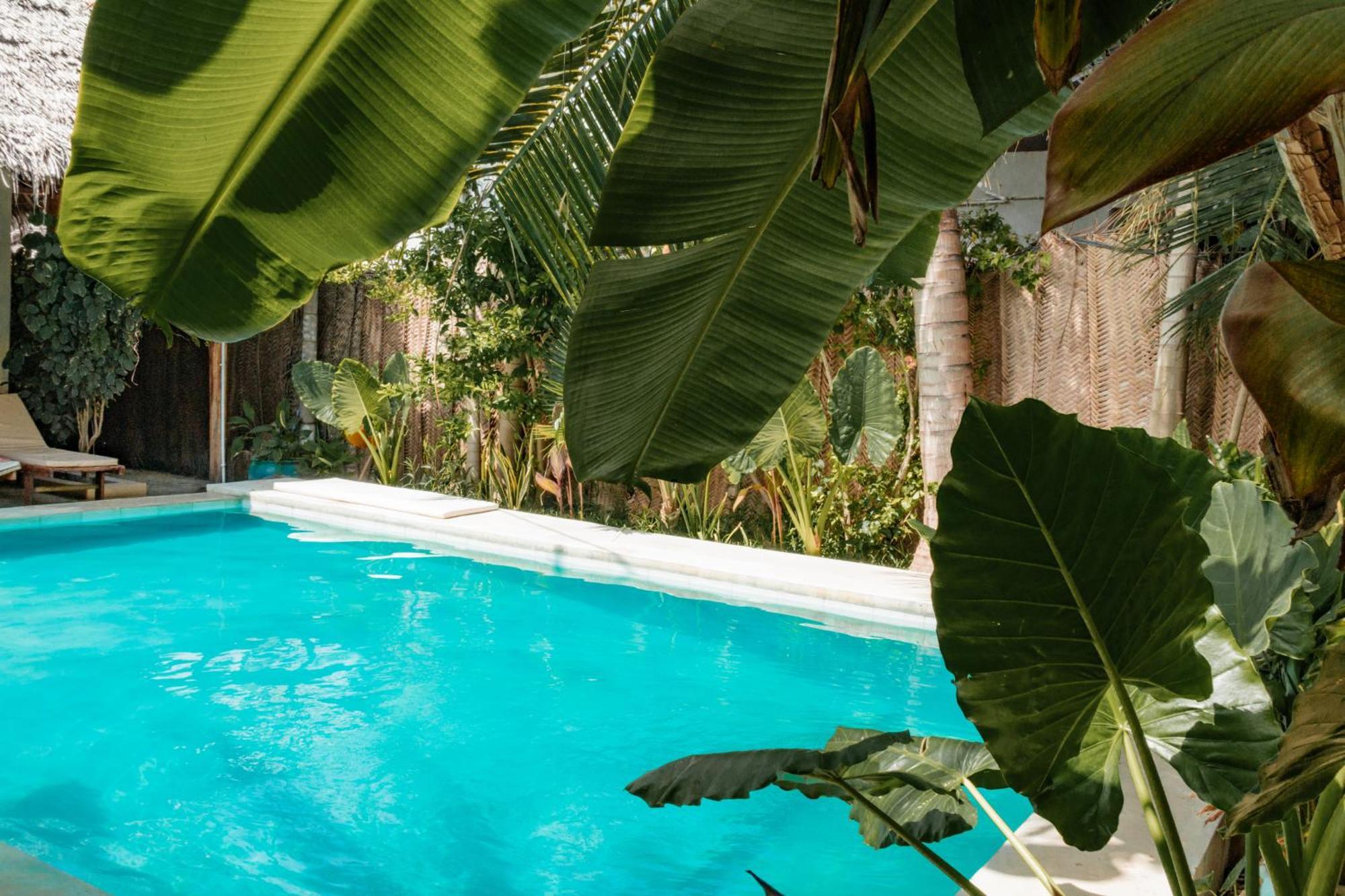 Pili Pili Palm Beach Jambiani  Buitenkant foto