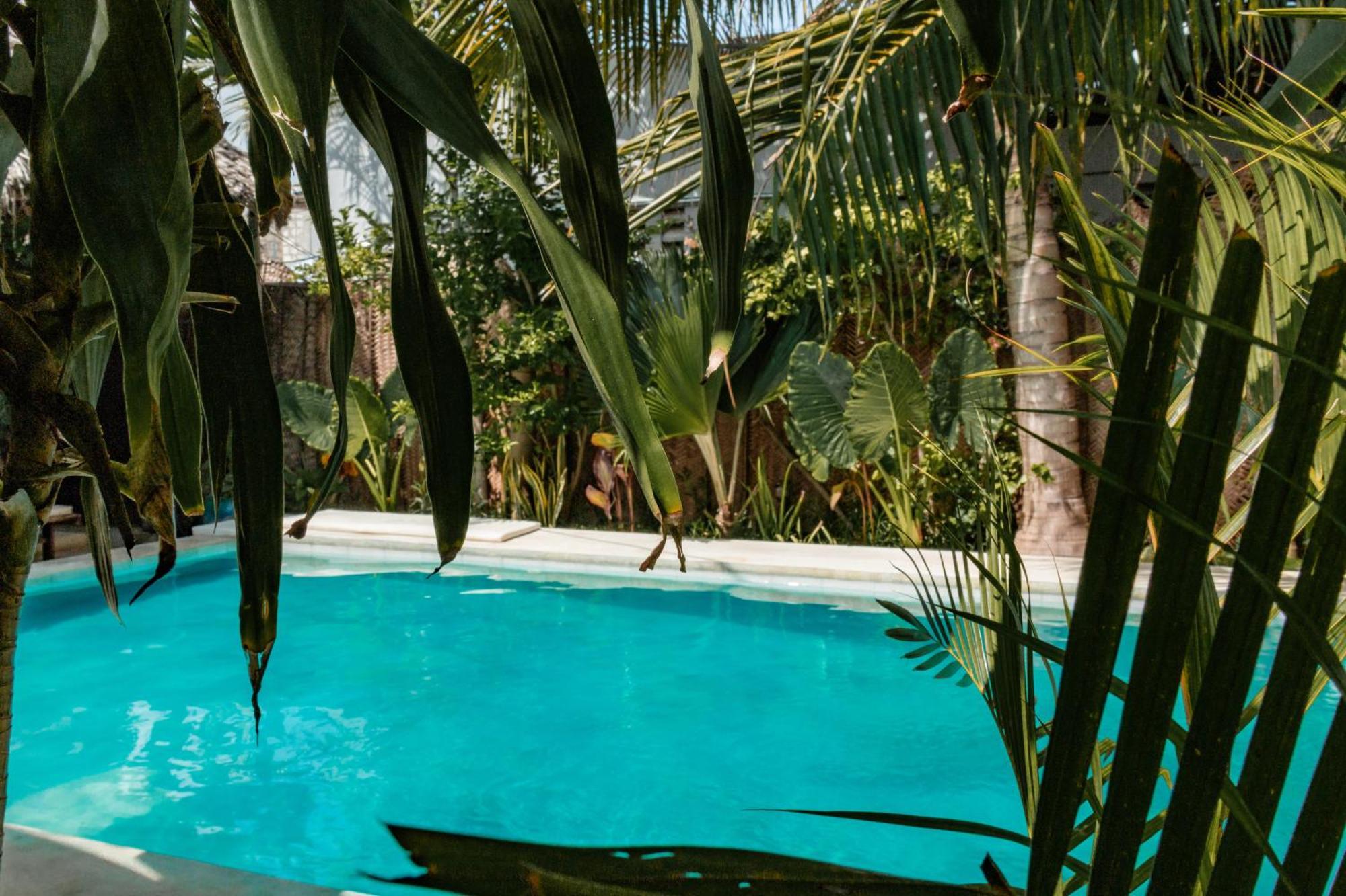 Pili Pili Palm Beach Jambiani  Buitenkant foto