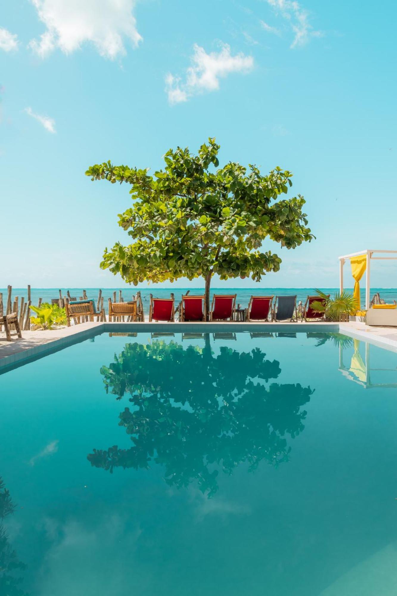 Pili Pili Palm Beach Jambiani  Buitenkant foto