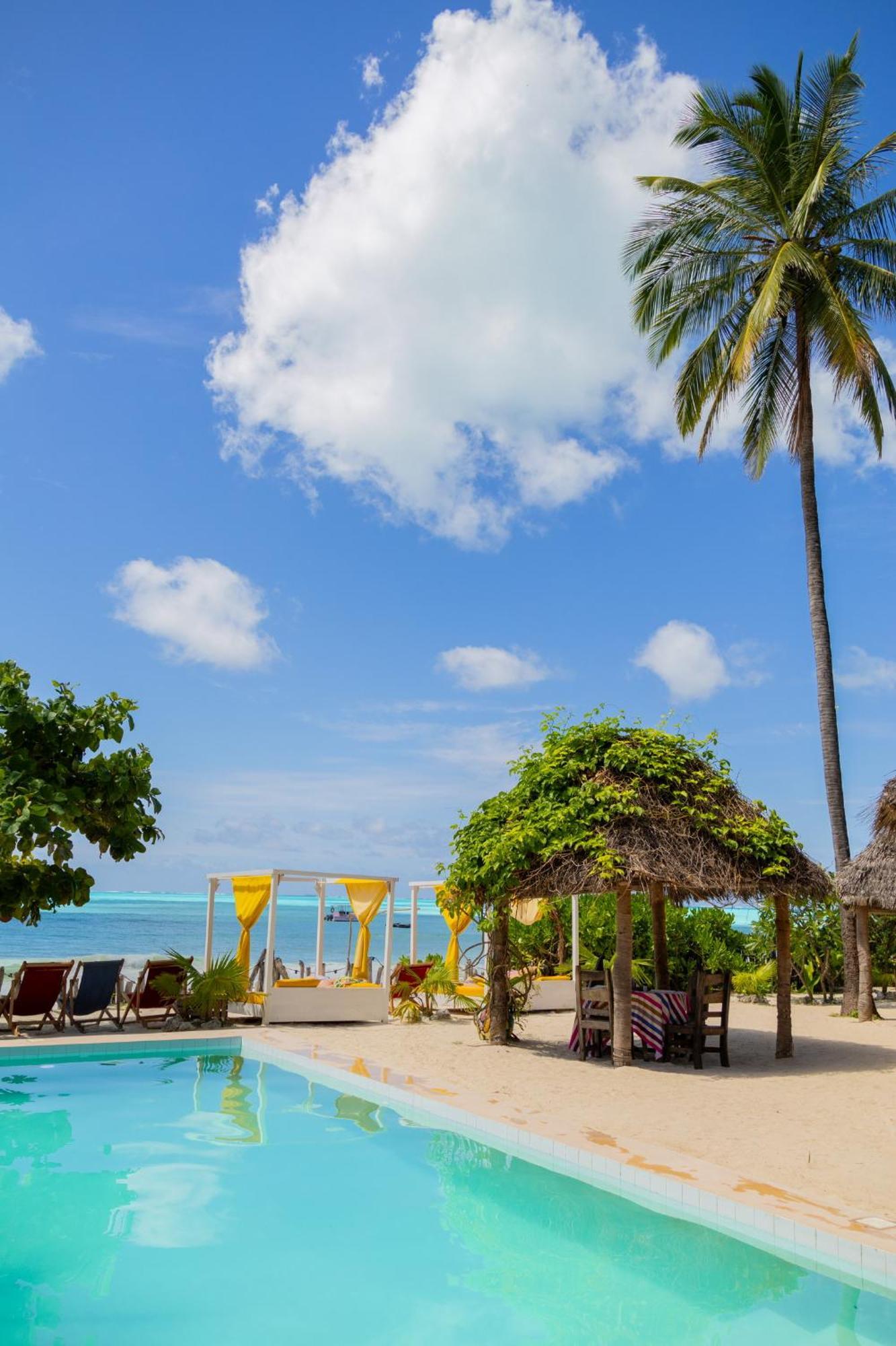 Pili Pili Palm Beach Jambiani  Buitenkant foto